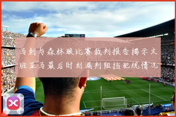 马刺与森林狼比赛裁判报告揭示文班亚马最后时刻漏判阻挡犯规情况